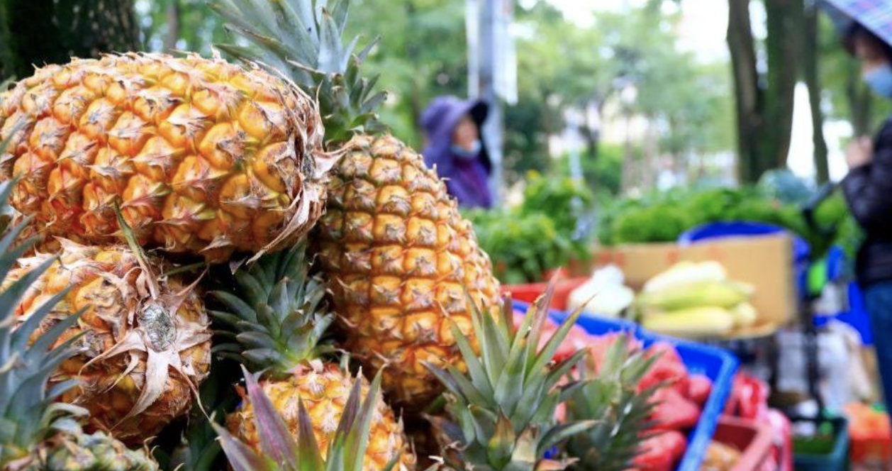China and Taiwan face off in pineapple war