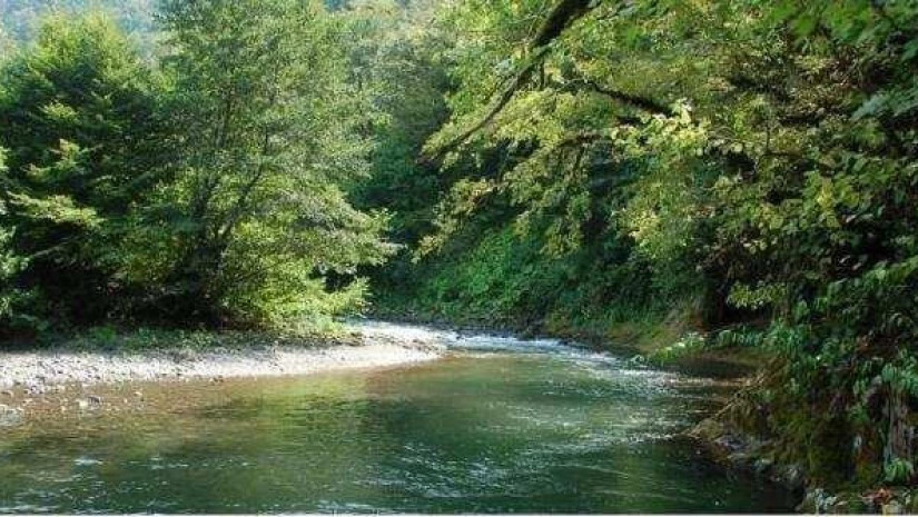 59fef7c540cbf