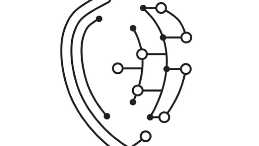 5d5412f447ec3