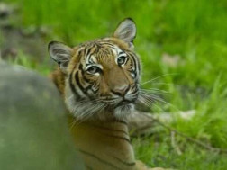 5e8ae0dbc9b43