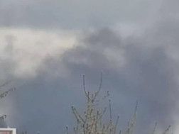625c295625432