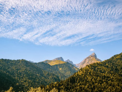 რაჭა ტყე