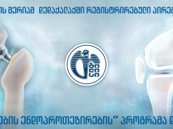 ენდოპროტეზი
