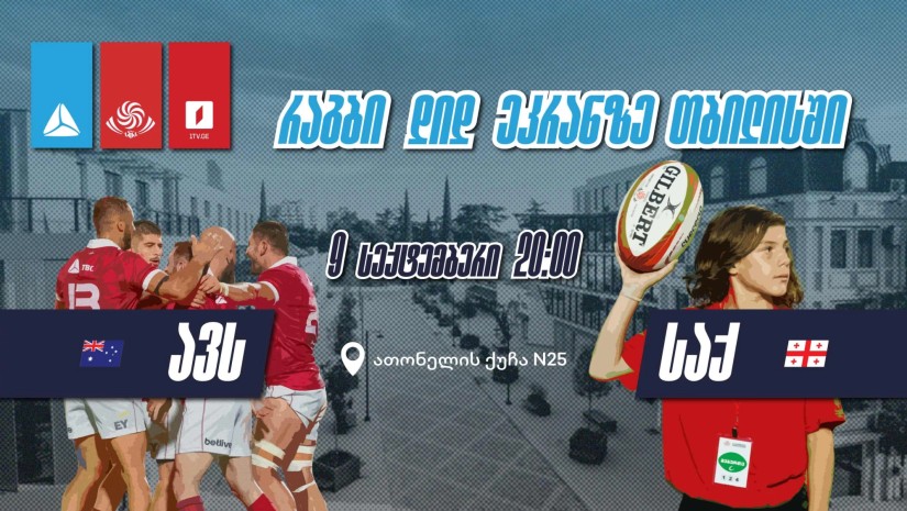 ბორჯღალოსნები თიბისი