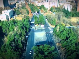 თამარაშვილის გამზირი