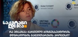 ქართული ბიზნესსექტორი