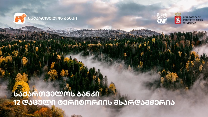 ბანკი