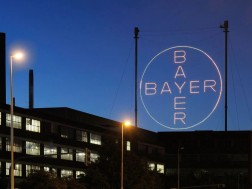 Bayer