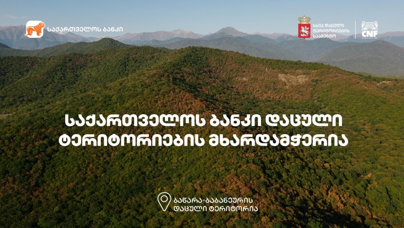 საქ ბანკი