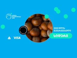 თიბისი