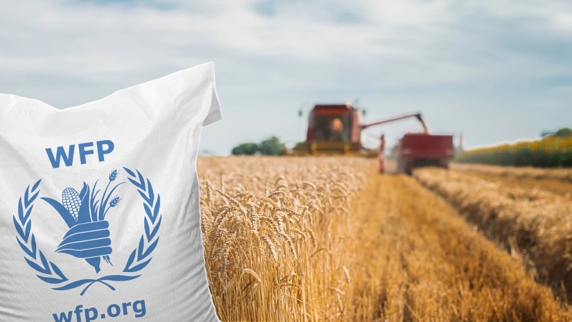 WFP