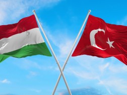 Turkey and Hungary