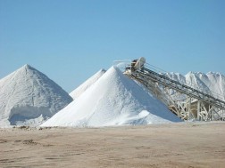 salt