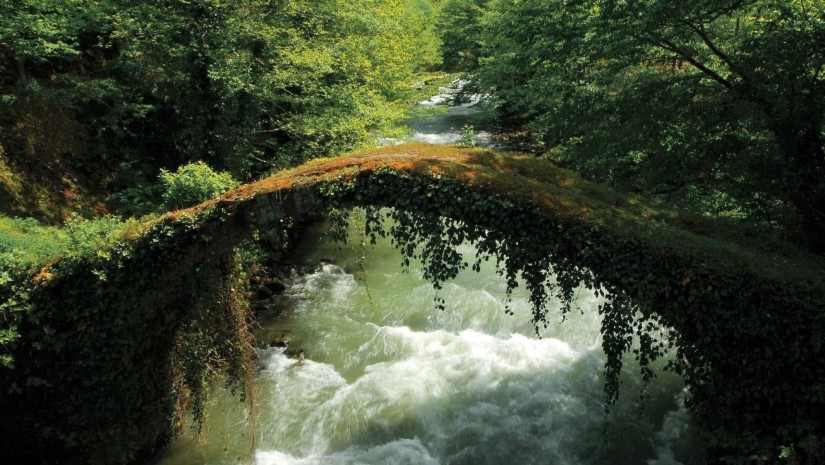 სააგენტო