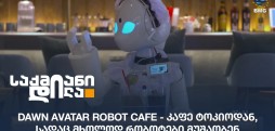 Dawn Avatar Robot Cafe