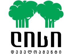 ლისი ლეიქ დეველოპმენტი