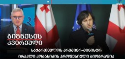 ირაკლი კობახიძის პროფესიული ბიოგრაფია