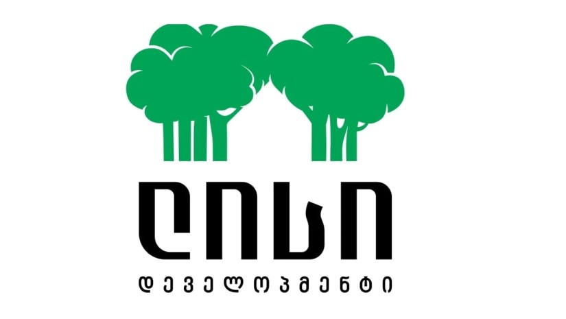 ლისი დეველოპმენტ