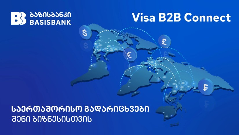 Visa B2B