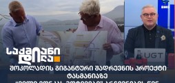 ტასმანია
