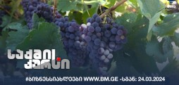 #ბიზნესსიახლეები www.bm.ge -სგან: 24.03.2024