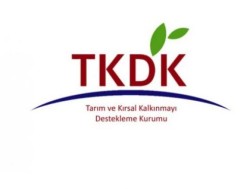 TKDK