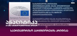 საერთაშორისო პარტნიორების კრიტიკა