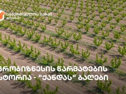 საქბანკი