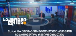 EU-სა და გერმანიის ერთობლივი პროექტი