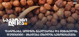 მზადება თხილის სეზონისთვის