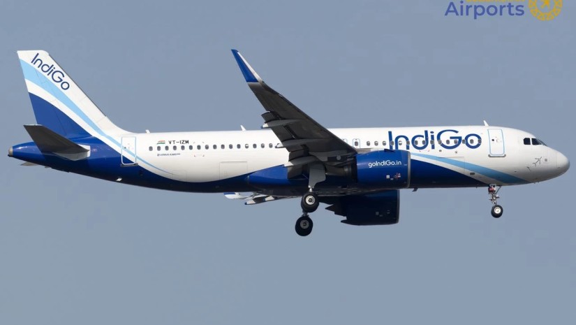 indigo