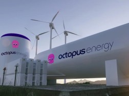 octopus energy