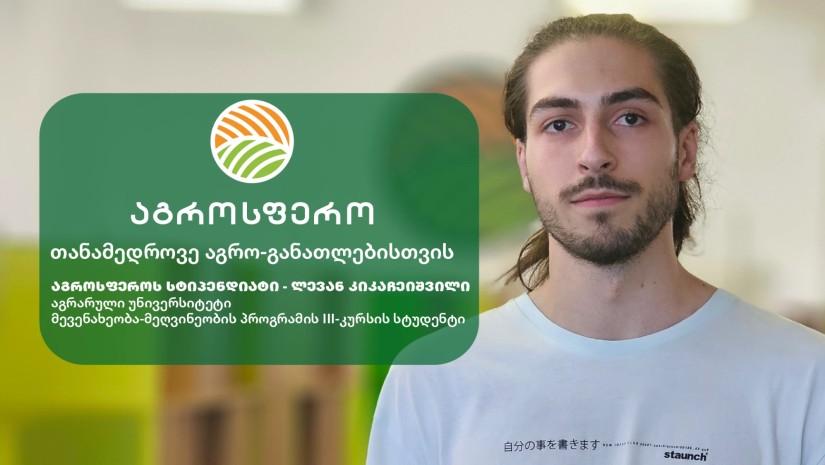 სტიპენდია