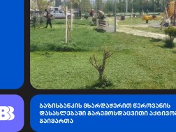 სოლომისია