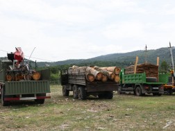 სახერხი