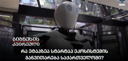 სტარტაპ ეკოსისტემის განვითარება
