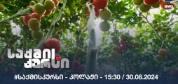 #საქმისკურსი - კოლაჟი - 15:30 / 30.08.2024