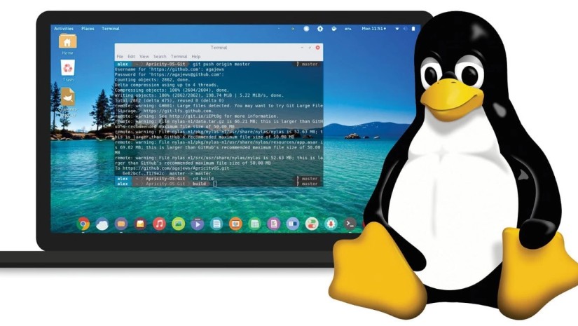 Linux