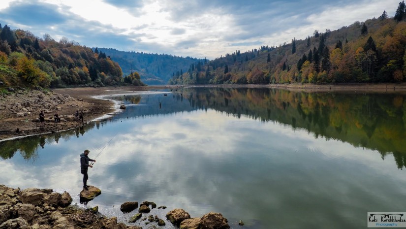 შაორი