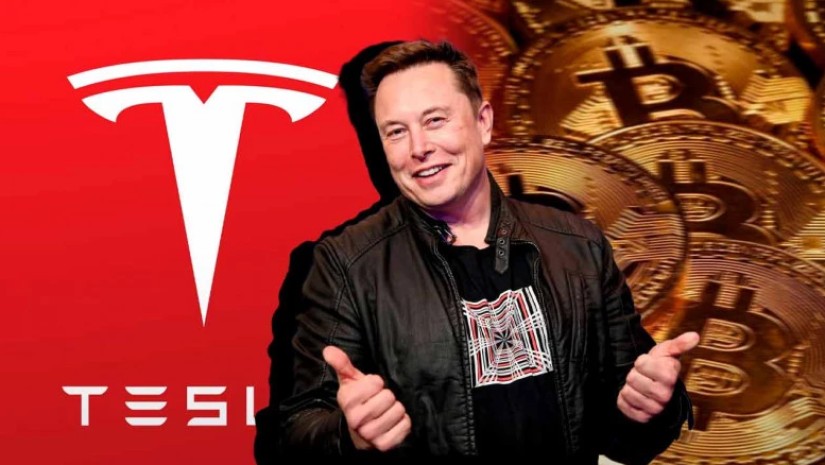 btc musk