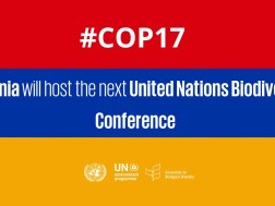 Armenia COP17