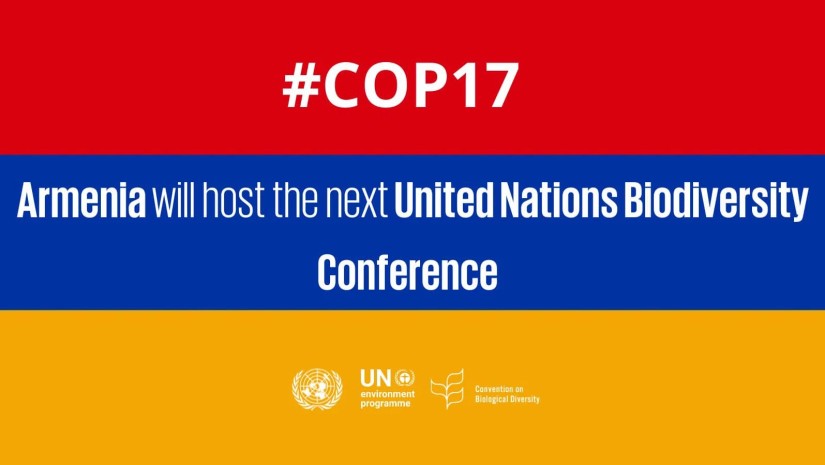 Armenia COP17