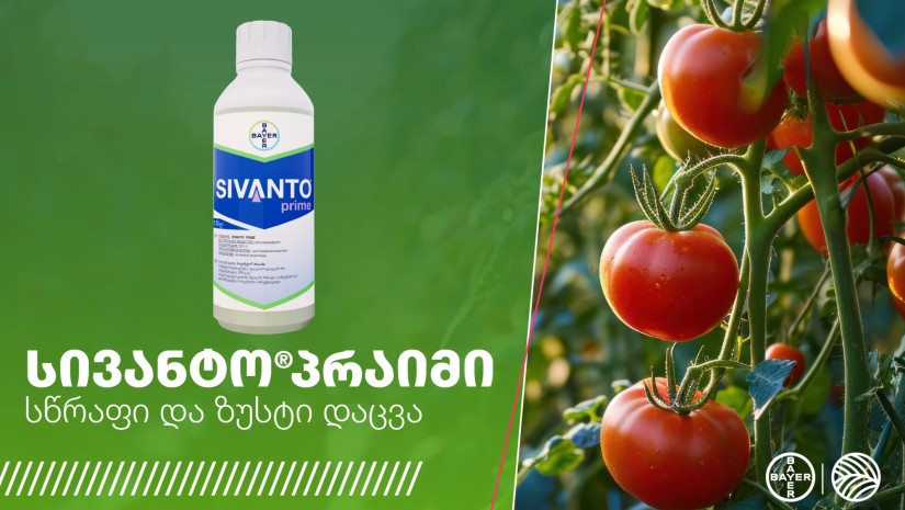 BAYER