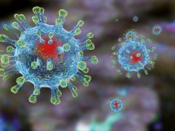 metapneumovirus