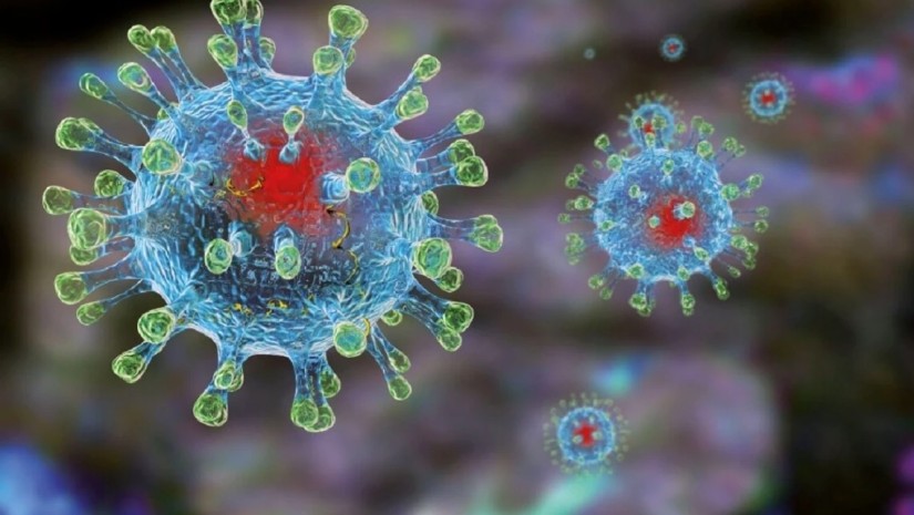 metapneumovirus