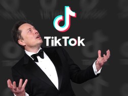 musk tiktok