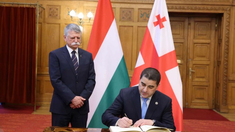 პაპუაშვილი უნგრეთში