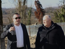დავით ვერავა