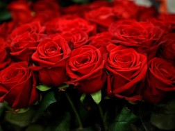 ვალენტინობა