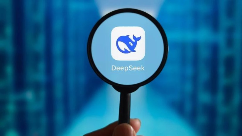 deepseek_w_h.jpeg